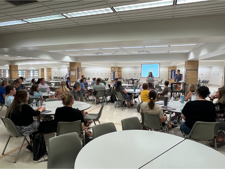 new teachers